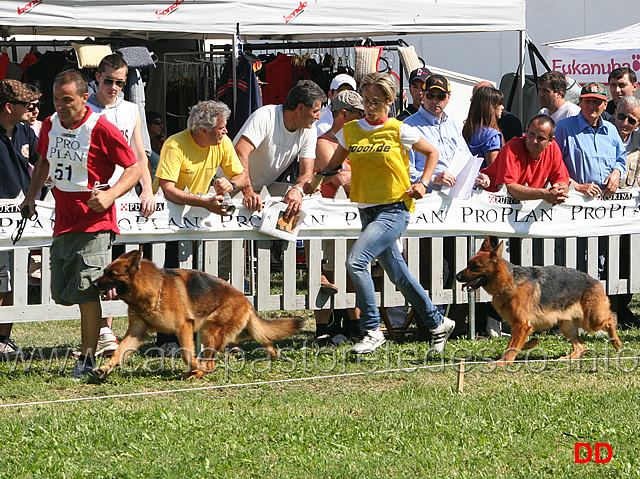 Blanka-e-Guia.jpg - Blanka della Gens Pontina e Guia dei Colli di Uzzano al fuss