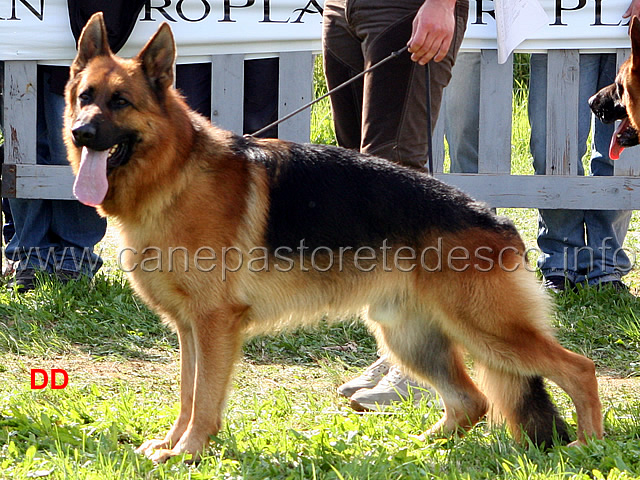 Cos-della-Grande-Valle-11-Ecc.jpg - Cos della Grande Valle 11 Ecc