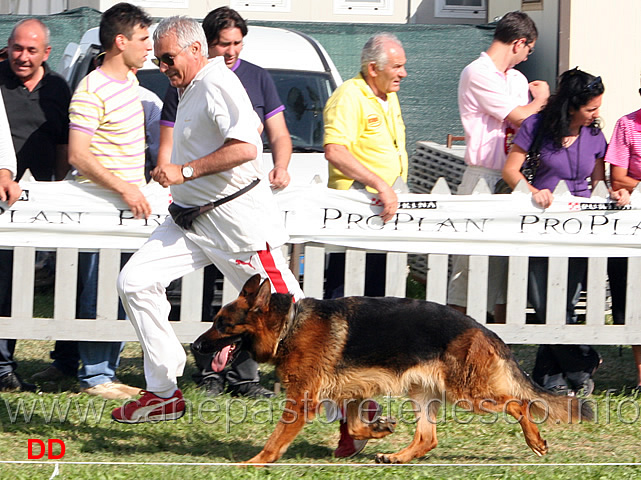 Don-al-fuss.jpg - Don dell'Utveggio al fuss