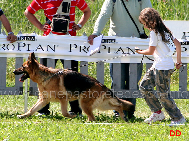 Emanuel-Prezioso-14-Ecc.jpg - Emanuel Prezioso 14 Ecc