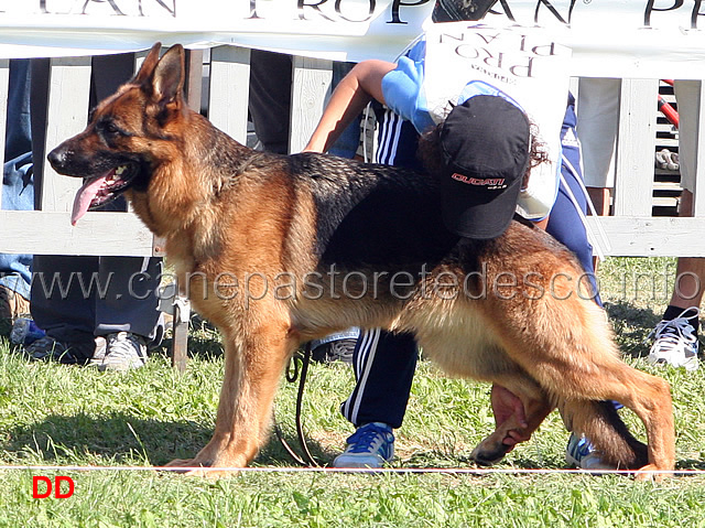 Furba-degli-Arvali-13-Ecc.jpg - Furba degli Arvali 13 Ecc