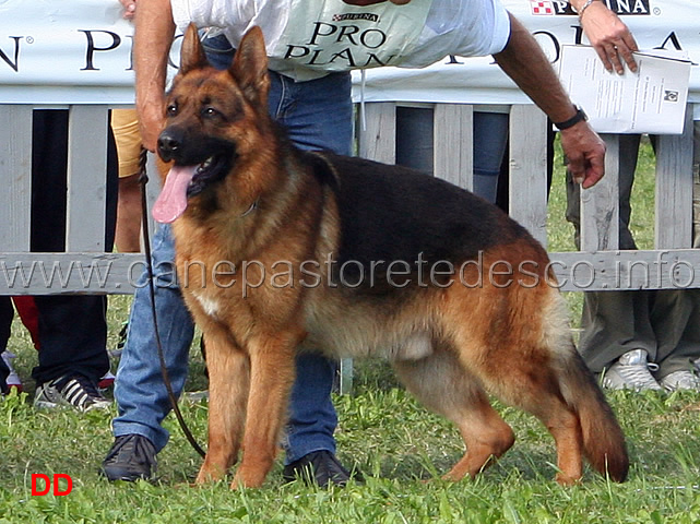 Geros-Freijumps-12-Ecc.jpg - Geros Freijumps 12 Ecc