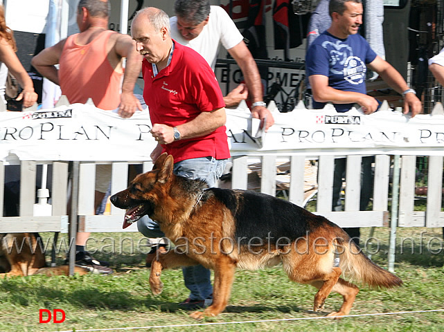 Geros-Freijumps-al-fuss.jpg - Geros Freijumps al fuss