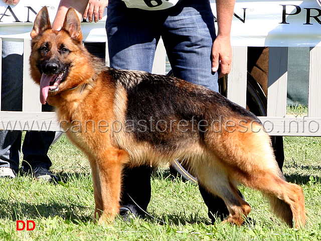 Nicky-di-Croce-Santo-Spirito-8-Ecc.jpg - Nicki di Croce Santo Spirito 8 Ecc