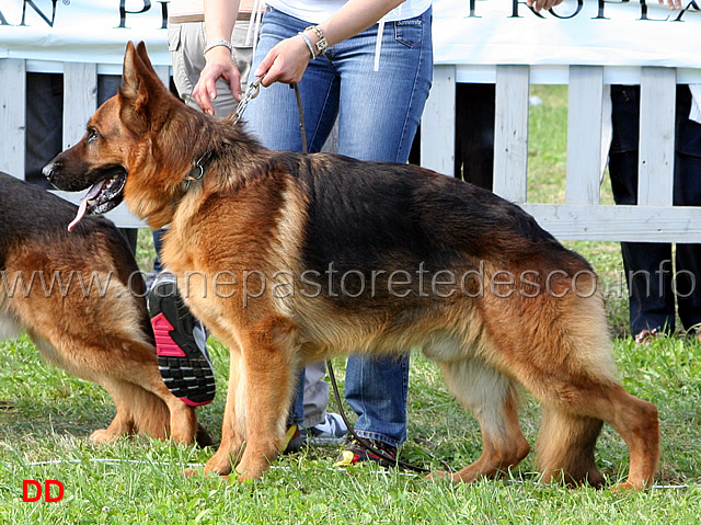 Norik-dei-Colli-Storici-7-Ecc.jpg - Norik dei Colli Storici  7 Ecc