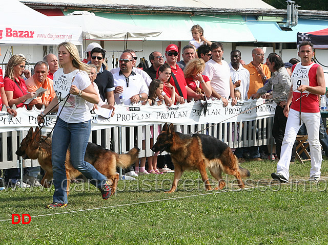 Norik-dei-Colli-Storici-e-Don-dell-Utveggio.jpg - Norik dei Colli Storici e Don dell'Utveggio