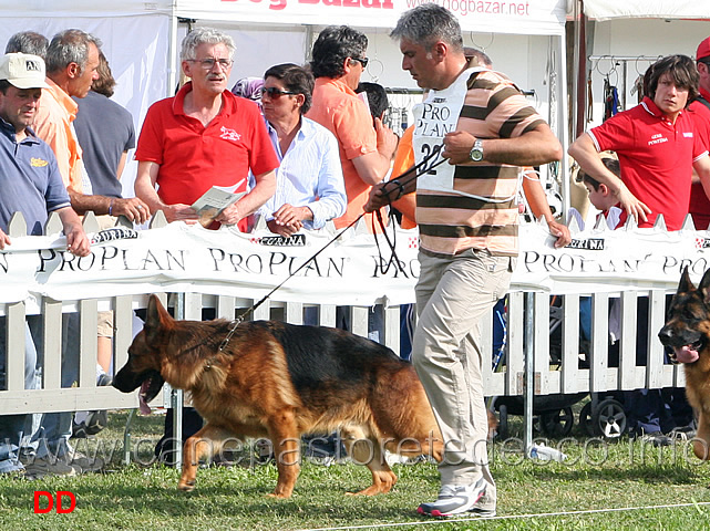 Norik-dei-Colli-Storici.jpg - Norik dei Colli Storici  7 Ecc