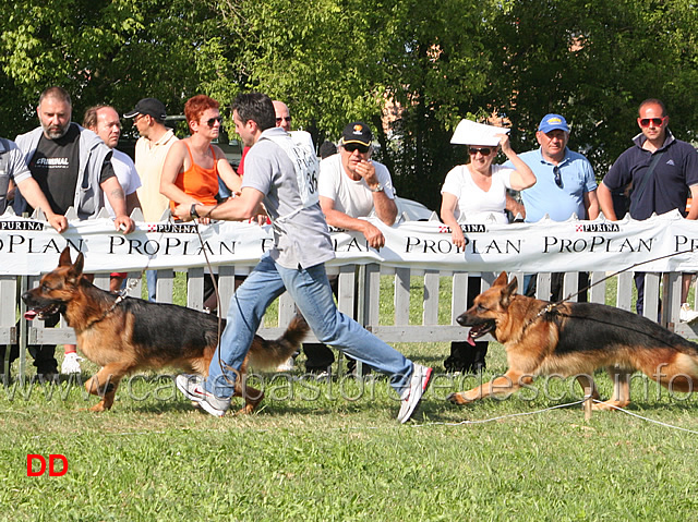 Rhab-e-Cos-della-Grande-Valle.jpg - Rhab e Cos della Grande Valle