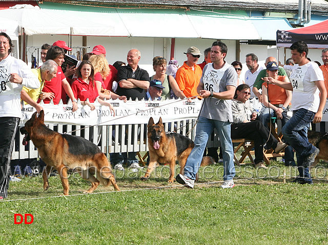 Rhab-e-Pongo-della-Valle-del-Lujo.jpg - Rhab 14 Ecc e Pongo della Valle del Lujo 15 Ecc