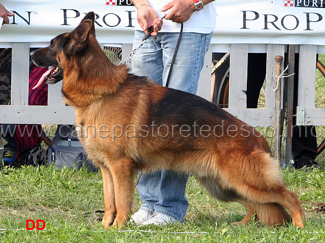 Tania-Terrae-Lupiae-9-Ecc.jpg - Tarus Terrae Lupiae 9 Ecc