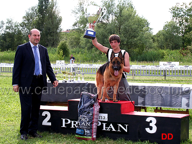 Xero-delle-Terre-Matildiche-vincitore-del-Trofeo-Tondelli.jpg - Xero delle Terre Matildiche vincitore del Trofeo Tondelli al miglior adulto maschio di allevamento italiano