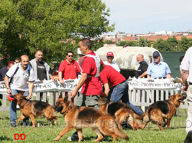 adulte-femmine.jpg - Momenti della gara