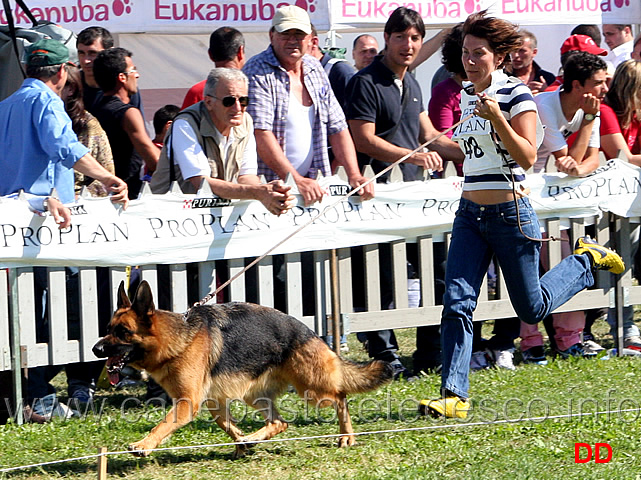 agatha-webachtal-al-trotto.jpg - Agatha v.Webachtal al trotto