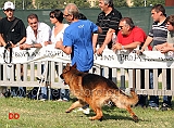 Azzurro-di-Chiara-Sorgente-al-fuss
