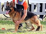 Baggio-dell-Alto-Ofanto-26-Ecc