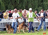 Bart-Cormack-Horso
