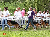 Blackhills-Cos-della-Grande-Valle-e-Geros
