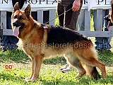 Cos-della-Grande-Valle-11-Ecc