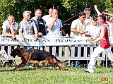 Don-dell-Utveggio-al-trotto