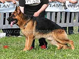 Gordon-dei-Colli-di-Uzzano-22-Ecc