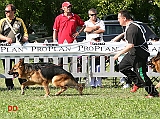 Gordon-dei-Colli-di-Uzzano