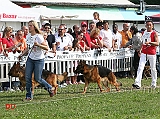 Norik-dei-Colli-Storici-e-Don-dell-Utveggio
