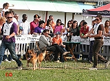 Partenza-Lavoro-maschi-Cos-della-Grande-Valle