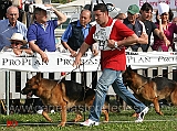 Partenza-Lavoro-maschi-Mork-dei-Profeti