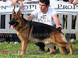 Pongo-della-Valle-del-Lujo-15-Ecc