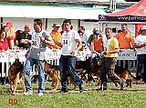 Pongo-della-Valle-del-Lujo-Gorbi-di-Casa-Mary-e-Dax-di-Casa-Pellicani
