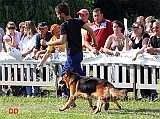Pongo-della-Valle-del-Lujo-al-fuss