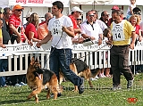 Pongo-della-Valle-del-Lujo-e-Gorbi-di-Casa-Mary