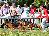 spareggi-Ken-dei-Monti-della-Laga-e-Nero-di-Casa-Scognamiglio