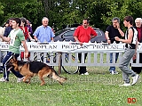 finalisti-Trofeo-Walter-Gorrieri-Xero-delle-Terre-Matildiche