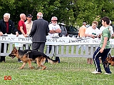 finalisti-Trofeo-Walter-Gorrieri-Zico-Cinque-Ville