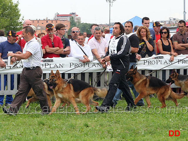 Giovanissimi-maschi.jpg - Sam delle Tamerici Salmastre, Gimmy degli Arvali,  Jago