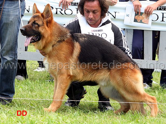 Sam-delle-Tamerici-Salmastre-7-MB.jpg - Sam delle Tamerici Salmastre 7 MB