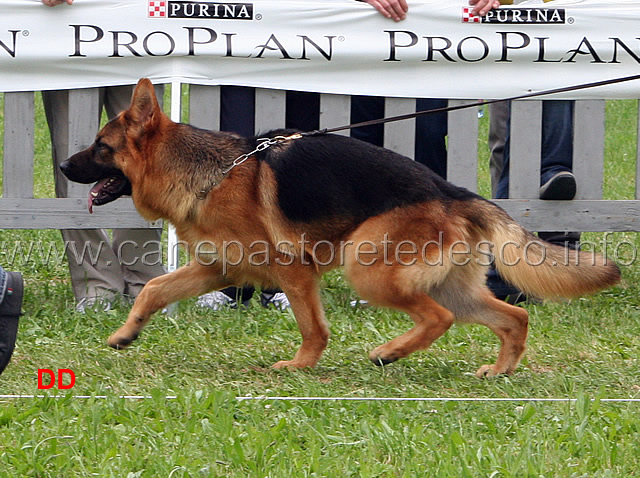Sam-delle-Tamerici-Salmastre.jpg - Sam delle Tamerici Salmastre
