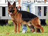 Ilko-de-Casa-do-Bento-4-MB-