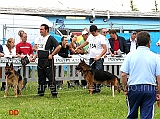 Partenza-giovanissimi-maschi-Erry-di-Camporeale-e-Max-della-Culla-di-Venere