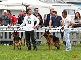 Partenza-giovanissimi-maschi-Karol-dei-Lotito-e-Ilko-de-Casa-do-Bento