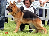 Sam-delle-Tamerici-Salmastre-7-MB