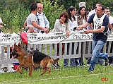 Sony-dei-Colli-Storici-agli-spareggi