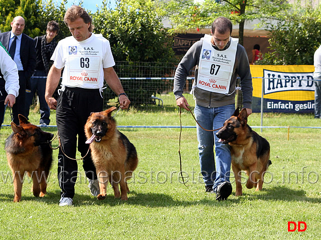 016.jpg - Classe Cuccioloni maschi Esco del Giarizzo, Opal dei Due Fiumi, Zamb dei Colli Albani