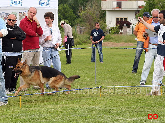 068.jpg - Classe Giovanissimi maschi Dash della Valle dell'Arno