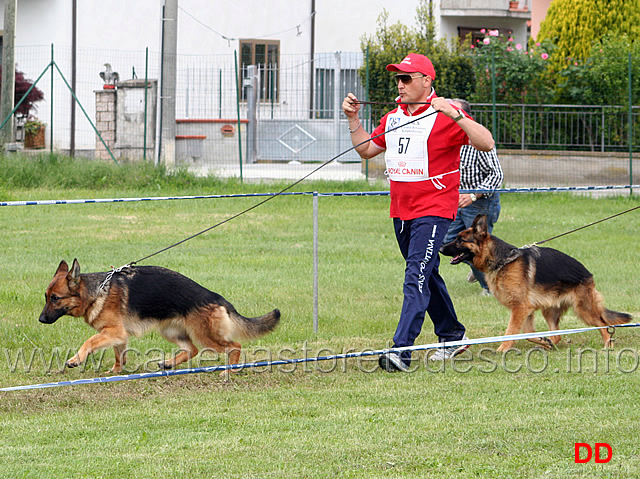 090.jpg - Classe Giovanissime femmine Raika della Gens Pontina, Mila di Casa Gregori