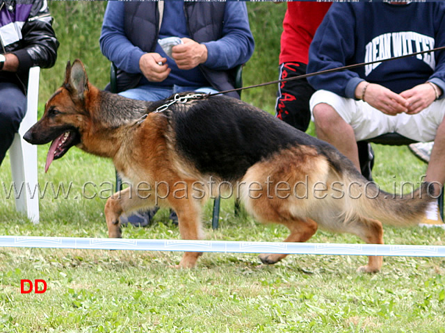 091.jpg - Classe Giovanissime femmine Raika della Gens Pontina