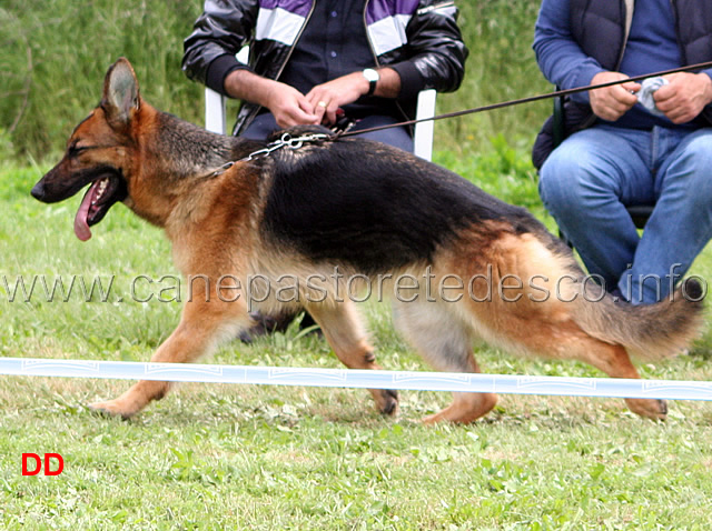 092.jpg - Classe Giovanissime femmine Raika della Gens Pontina