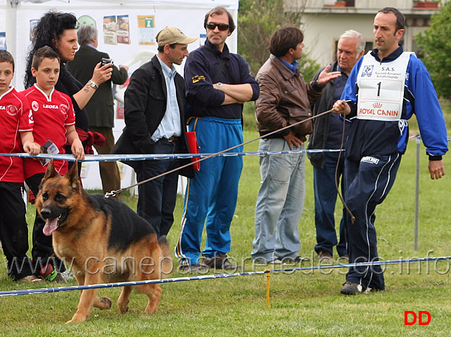 107.jpg - Classe Lavoro maschi Gordon dei Colli di Uzzano