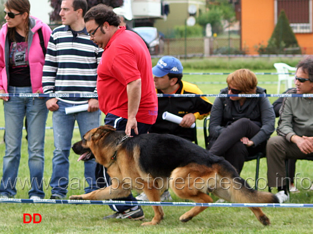 127.jpg - Classe Lavoro maschi Gordon dei Colli di Uzzano